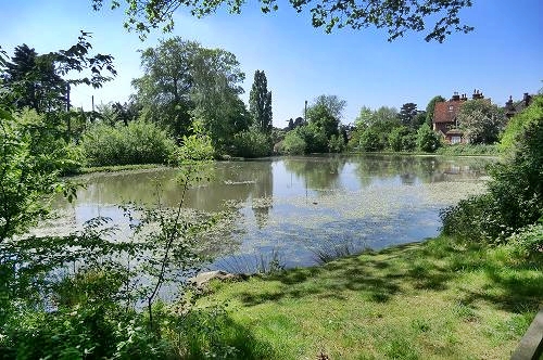 Spring Ponds