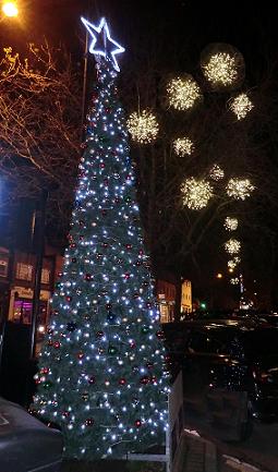 Stanmore Christmas tree at the foot of Stanmore hill December 2014