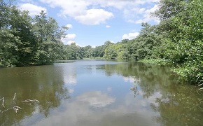 Bentley Priory Nature Reserve