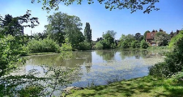 Spring Ponds