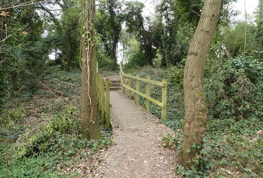 One of the many woodland paths crossing the restored Stanmore Marsh