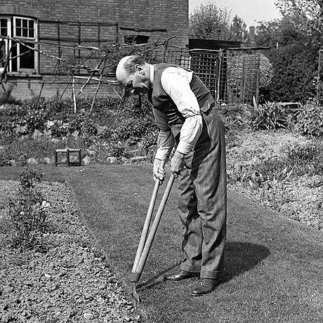 Clement Attlee gardening at his home in Stanmore 1945