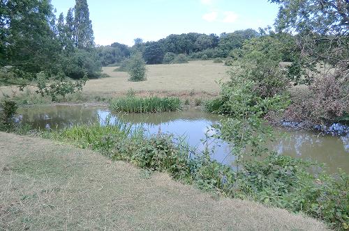 Boot Pond