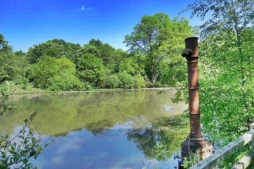 The Victorian Water Pump at the edge of the Pond