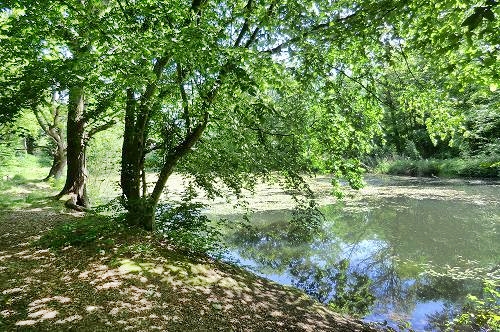 Spring Ponds