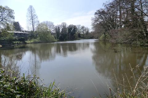 Temple pond today in Stanmore Park