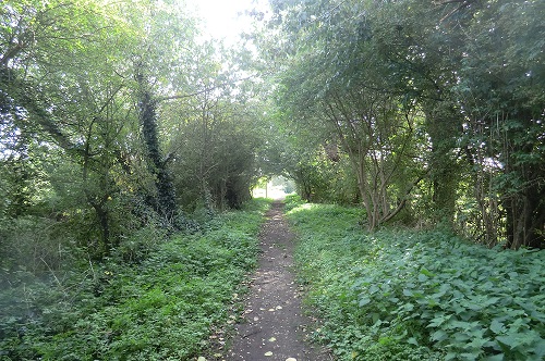 A section of the Belmont trail between Christchurch Avenue and Belmont Cicle